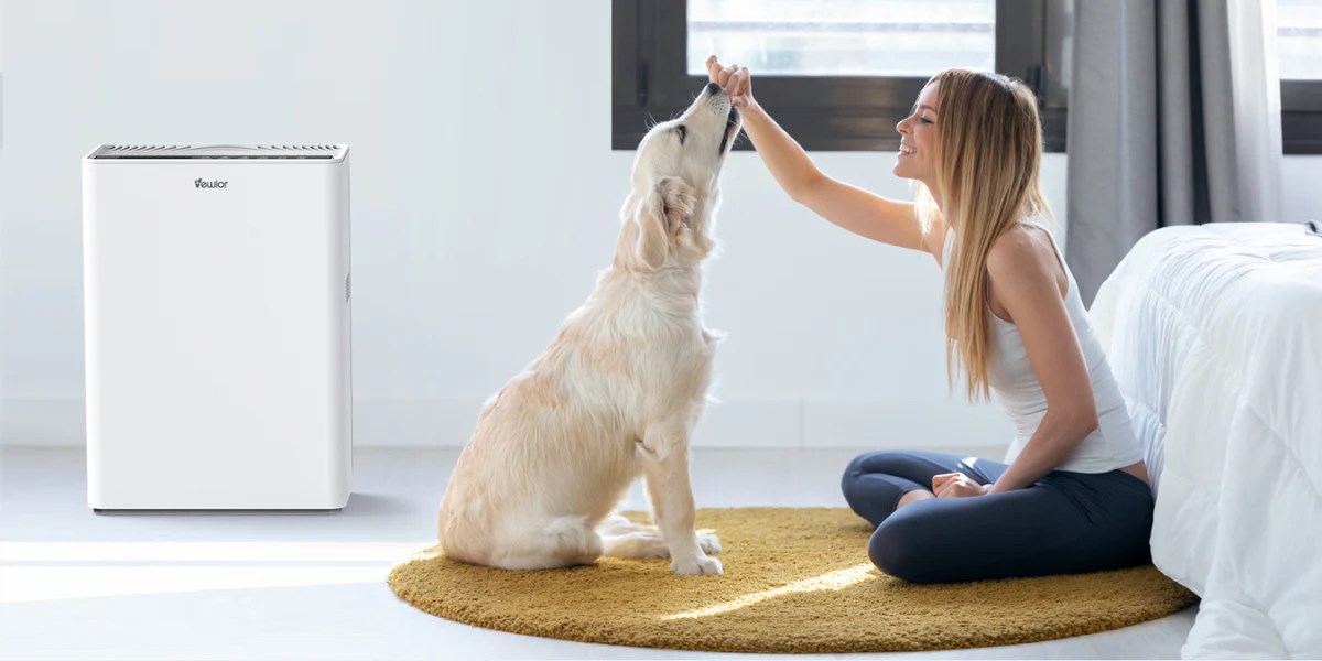 Air purifier maintenance tips and guides – Artofit