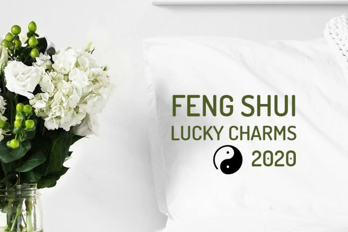 3 Feng Shui lucky charms for 2020 - WeMystic